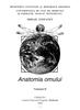 Ştefaneţ, Mihail. Anatomia omului. Vol. 2. – 2008 (text)