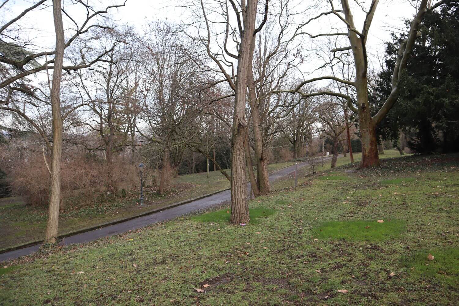 Im westlichen Teil des heutigen Stadtparks in Mainz erinnert die <q>Abtsgasse</q> an das ehemalige Kloster