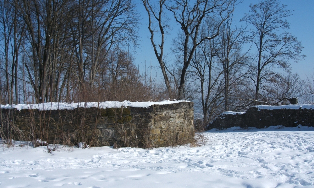 Reste der Nellenburg heute