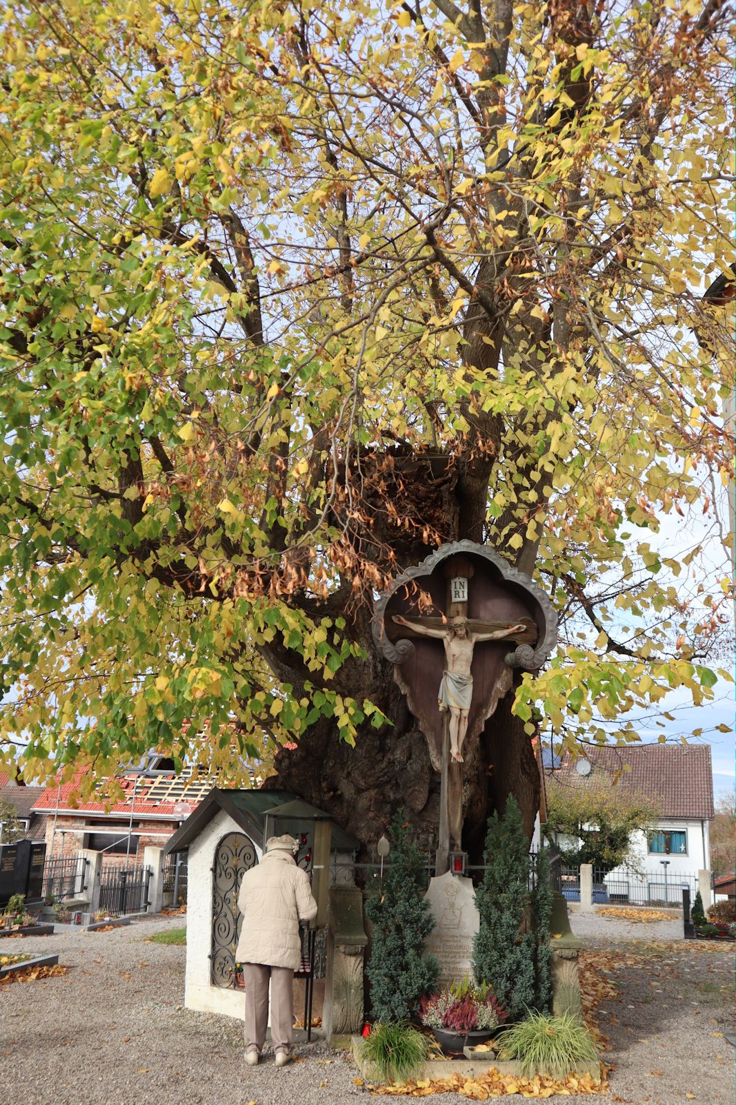 „Edigna-Linde” vor der Kirche in Puch