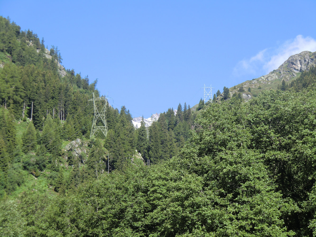 Blick von Casaccia zum Septimerpass