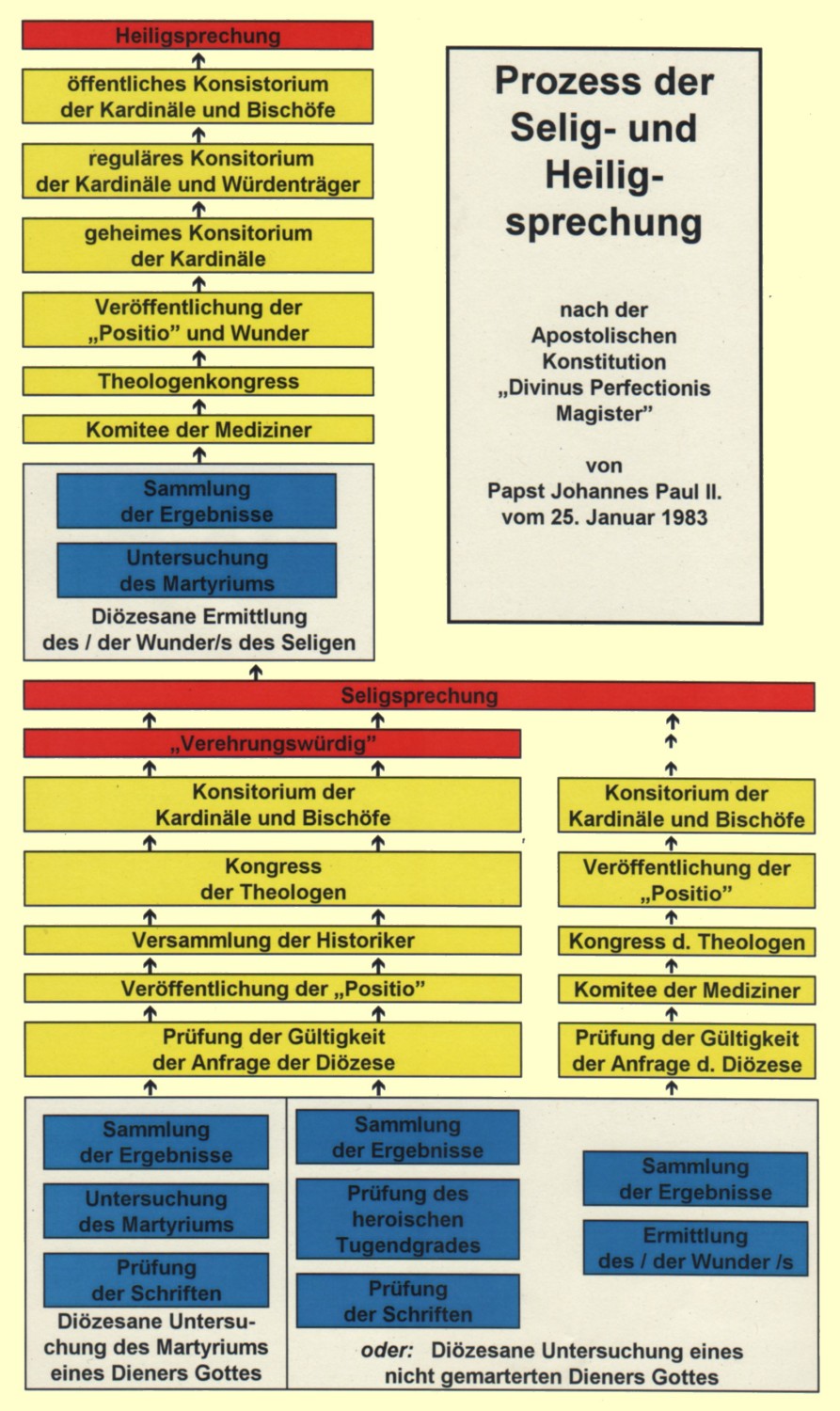 Schema der Prozesse