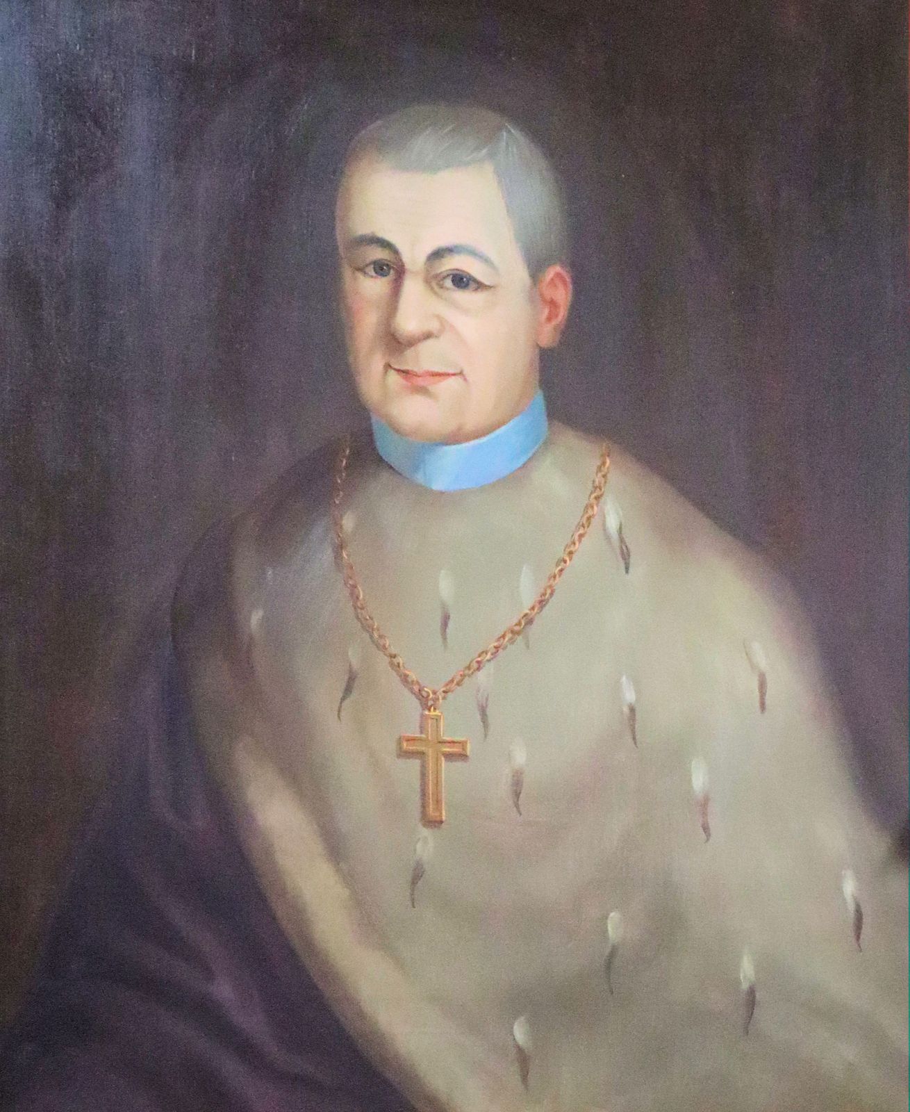 Johannes Nepomuk von Tschiderer, Gemälde im Pfarrhaus in Sarnthein/Sarentino