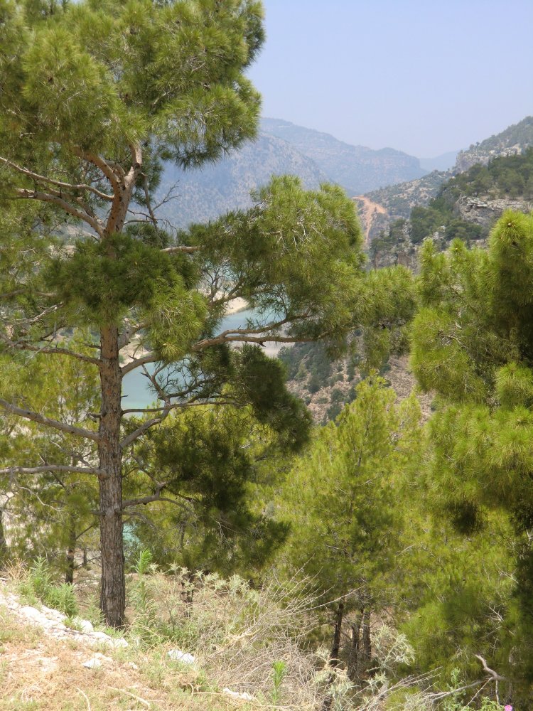 Barbarossas Todesort im Fluss Saleph bei Silifke