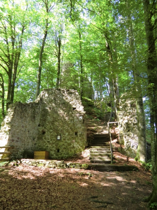 Aufgang zur Rottenburg (im Hintergrund), heute <q>Versöhnungsstiege</q> genannt, weil Notburga hier die die Versöhnung der bitter verstrittenen Brüder Heinrich - dem Burgherrn - und Seifried aus Hall in Tirol gestiftet habe