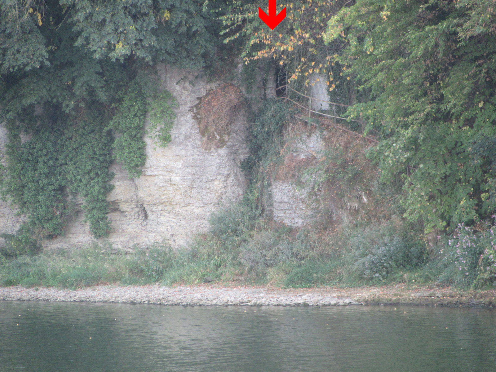 Notburgas Höhle über dem Neckar bei Hochhausen