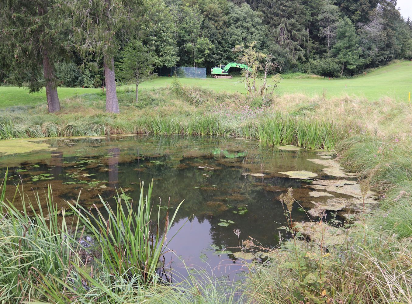 Erdölquelle bei Bad Wiessee